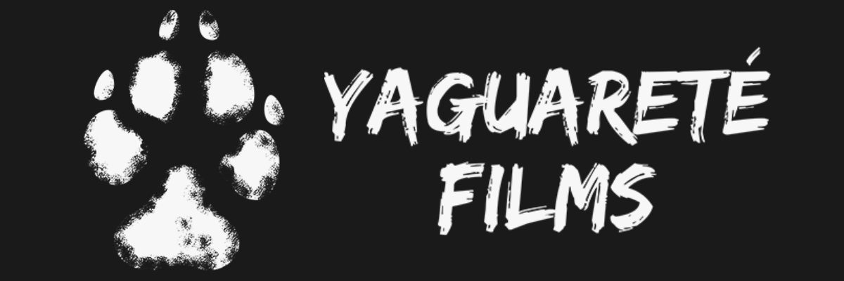 Logotipo Yaguareté Films — aliado de Manada Audiovisual